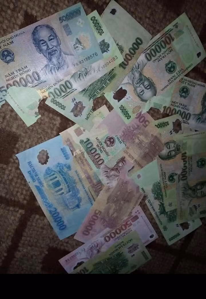 Ngày 10/2 (tức 1/1 âm lịch), bức ảnh chuột gặm nát tiền lì xì đã khiến cư dân mạng có màn cười như pháo trong ngày đầu tiên của dịp Tết Nguyên đán 2016.