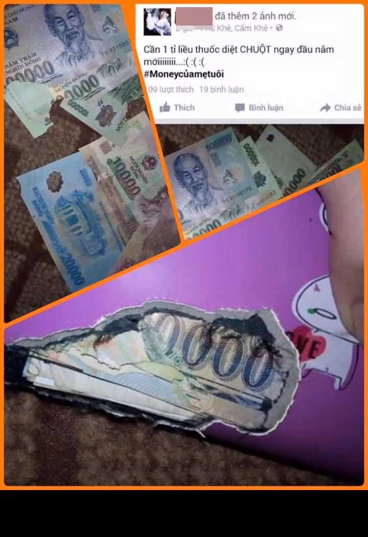 Chủ nhân của bức ảnh này đăng tải dòng chia sẻ vô cùng căm hận với hung thủ đã làm nên thảm họa. "Cần một liều thuốc chuột ngay đầu năm".