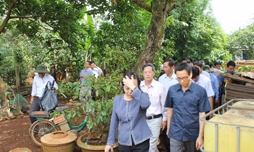 Pho Thu tuong kiem tra tinh hinh dich sot xuat huyet tai TN