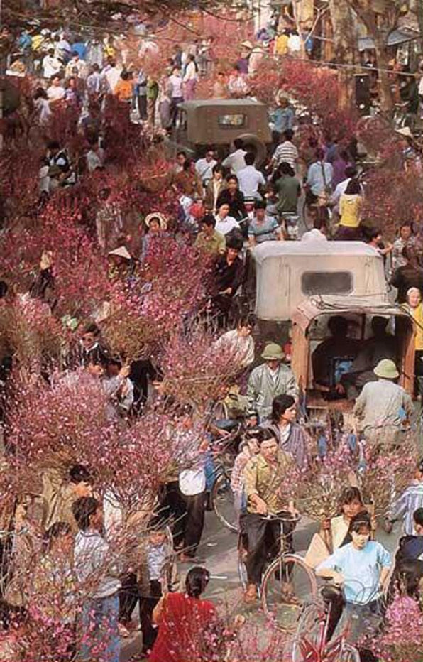 Đồng quan điểm của H.D là M.T: "Mình thấy ngày nay cái không khí Tết càng ngày càng nhạt. Gần Tết mọi người chẳng còn tấp nập đi ra đường chọn cành đào hay nấu nồi bánh chưng. Thay vào đó, mọi thứ đều có sẵn, gọi một cái là có mọi thứ. Buồn thật!".