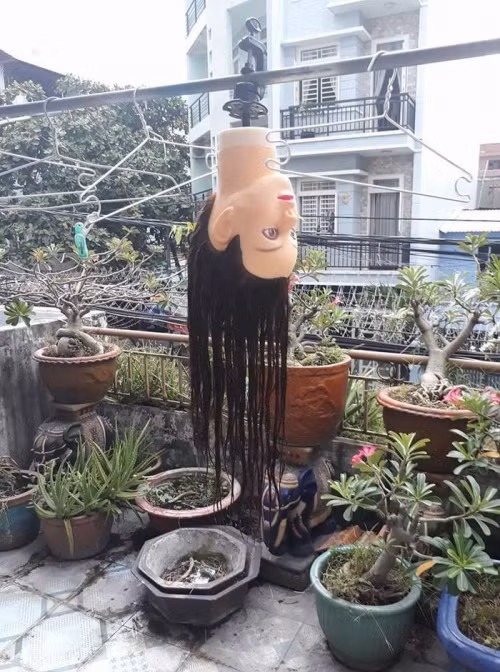 Thành viên Ngọc Thoa bình luận: ''Ngày trước đi chơi về bất ngờ nhìn thấy cái đầu manocanh vứt trong thùng rác, đứa bạn đi cùng hét ầm cả khu phố khiến người ta tưởng có chuyện gì?''.