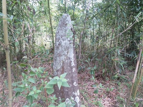 Phat hien co mo trong vuon nha tai Thanh Hoa-Hinh-2