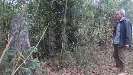 Phat hien co mo trong vuon nha tai Thanh Hoa