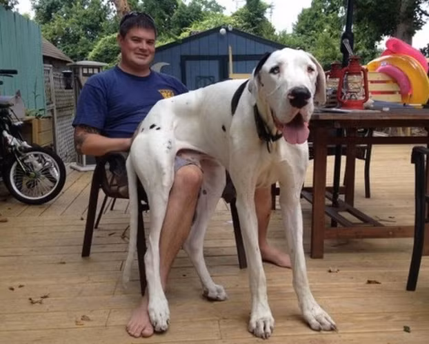 Ngồi quá vừa luôn ấy!