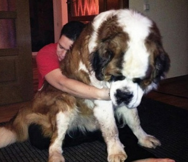 Cái ôm tuyệt vời nhất