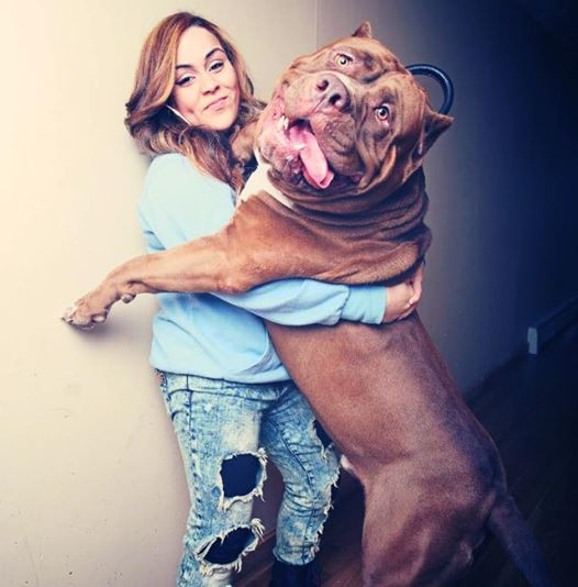 Ai muốn ôm một cái không nào?