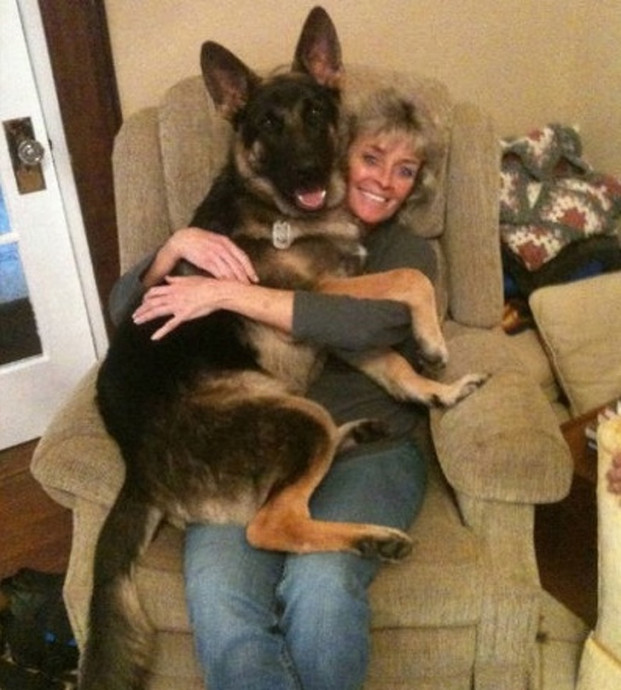 "Sen" vẫn bế được "boss" mà