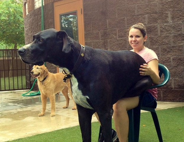 Nó thực sự tin nó có thể ngồi vừa lòng tôi