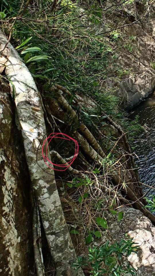 Chưa dừng lại ở đó nhiều người cũng cho rằng, rất có thể việc "thêu dệt" lên những câu chuyện này cũng góp phần gây sự tò mò và làm câu chuyện về vụ tử nạn của phượt thủ tại Tà Năng - Phan Dũng thêm ly kỳ hơn và từ đó cũng trở nên nổi tiếng trên mạng hơn.