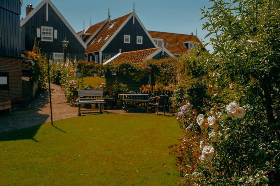 "Marken - một thành phố gần biển nhỏ xinh của Hà Lan, tôi lại may mắn được thả hồn sáng tác trên chính những khung cảnh từng xuất hiện trong các tác phẩm mỹ thuật nổi tiếng của Vincent Van Gogh. Chỉ hai từ 'bình yên' thì chẳng thể nào miêu tả nổi cảm xúc cho khung cảnh đó, tôi chỉ có thể dành dụm và cất giữ nơi ấy theo cách tôi vẫn làm theo bản năng của mình", Tùng Lâm kể với Zing.vn.