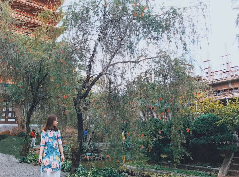 Những cây liễu rũ bên mặt hồ tiểu cảnh khiến nhiều khách du lịch tưởng tượng rằng họ đang lạc giữa một ngôi đền thờ của xứ sở Phù Tang. Ảnh: Nguyễn Vũ Ngọc Minh.