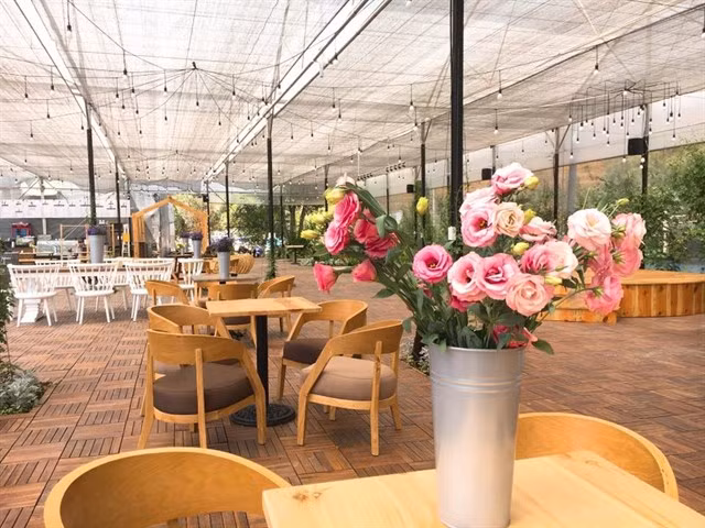 Nếu đã đến Đà Lạt, đừng bỏ qua quán cà phê F Cánh đồng hoa này, bởi những gì bạn có thể thu lại quá xứng đáng.