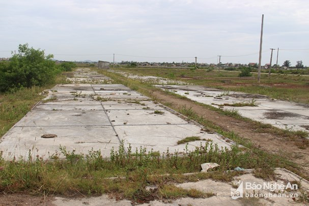 Ô nại trên đồng muối Diễn Bích lâu nay bỏ hoang, đã hư hỏng. Ảnh: Văn Trường