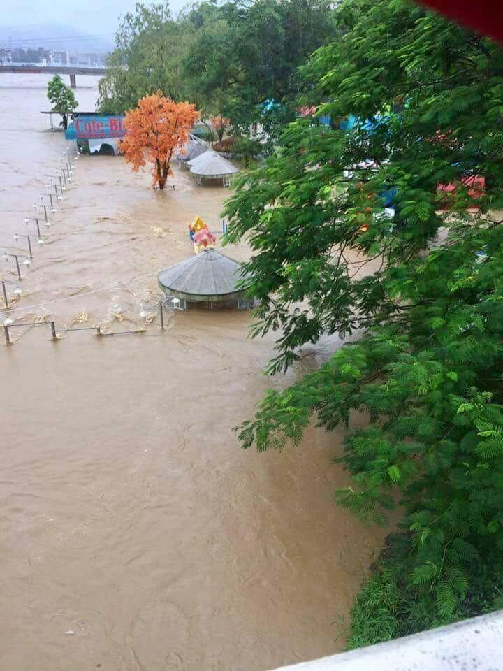 Ảnh sử dụng trong bài: Sưu tầm Facebook