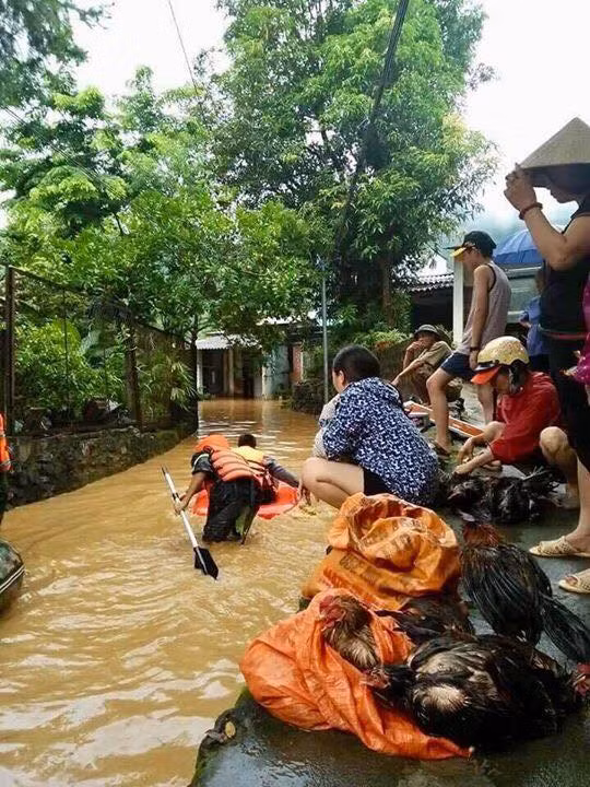 Không chỉ vậy, các lực lượng này sẽ còn giúp người dân ổn định lại cuộc sống sau khi mưa lũ kết thúc.