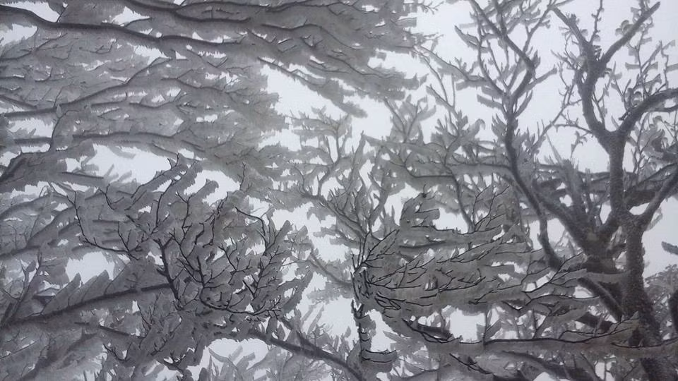 Do nhiệt độ liên tục xuống thấp nên tại các điểm cao của tỉnh Cao Bằng như Phjia Oắc - Nguyên Bình - Cao Bằng xuất hiện băng giá cục bộ.