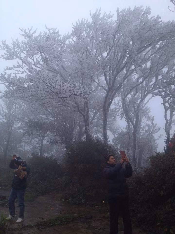 Mới đây, trên một diễn đàn mạng dành cho dân phượt, một số thành viên đã chia sẻ về những bức ảnh băng giá đầu tiên trên đỉnh Phjia Oắc của Cao Bằng trong năm nay. Ảnh: ‎Thoxebuyt Minsk.