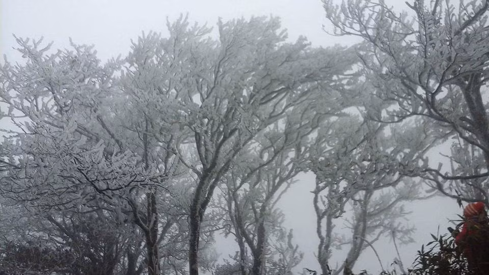 Dường như còn dư âm từ vụ "nghi vấn Sapa" có tuyết vài ngày trước đây, nhiều thành viên đã đặt câu hỏi rằng liệu đây có phải là một trò lừa đảo. Nhưng chủ nhân của những bức ảnh này đã khẳng định đây là những bức ảnh thật 100%.