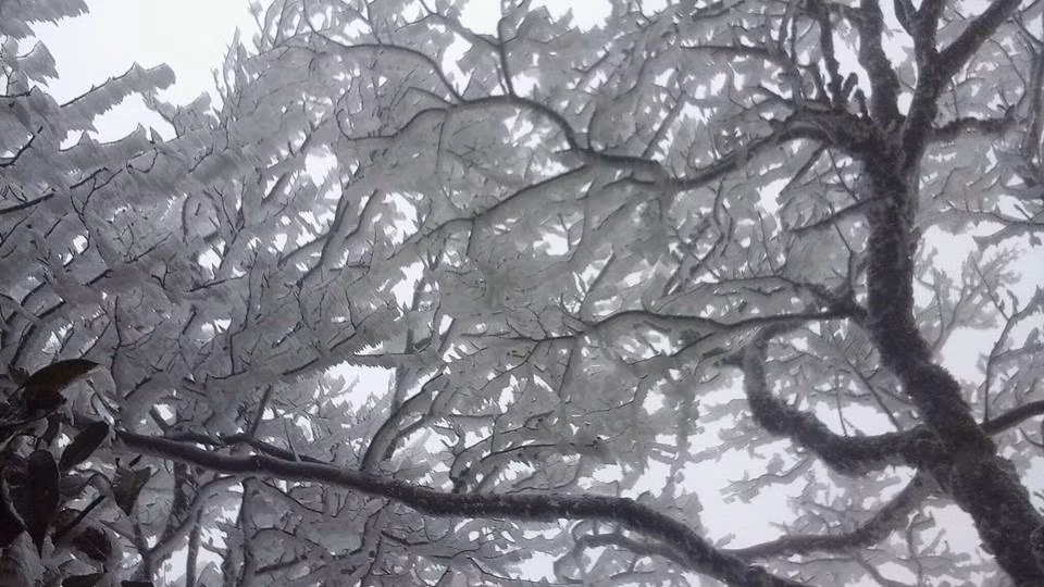 Sau sự chứng thực từ tác giả, nhiều thành viên của cộng đồng phượt đã ngay lập tức lên ý tưởng cho cung phượt tới đỉnh Phjia Oắc - Cao Bằng để thưởng thức vẻ đẹp của những cây taluy âm - dương bị đóng băng.