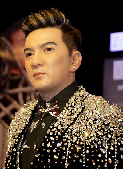 Nhiều khán giả cho rằng dù tượng chưa thật sự sắc nét như các tác phẩm họ từng thưởng thức ở bảo tàng tượng sáp thế giới, chân dung Đàm Vĩnh Hưng đã phần nào toát lên thần thái của anh khiến người xem thích thú.