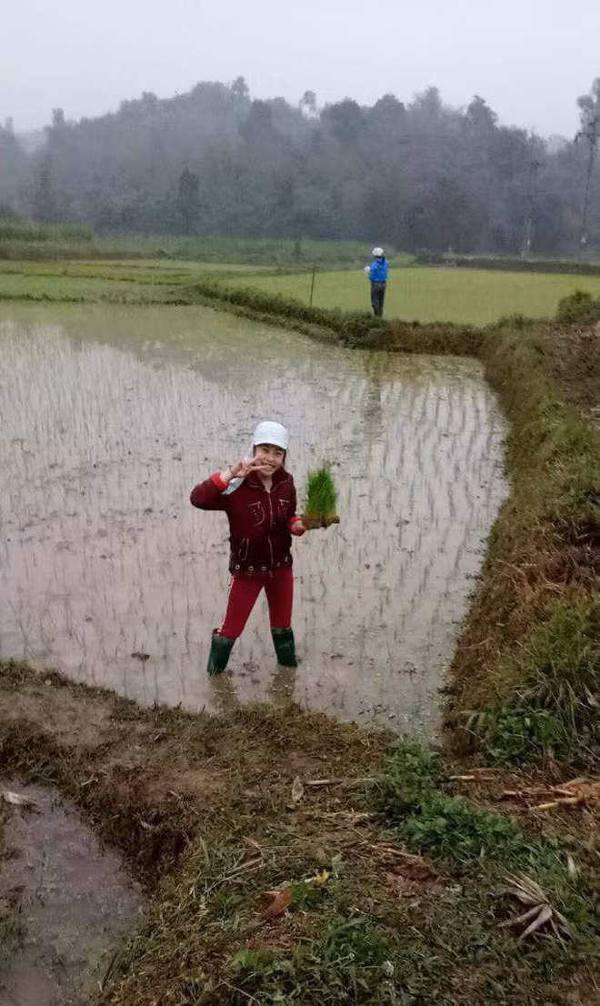 Con nhà nông hay lam hay làm, đảm đang, tháo vát thì ai cũng yêu quý.
