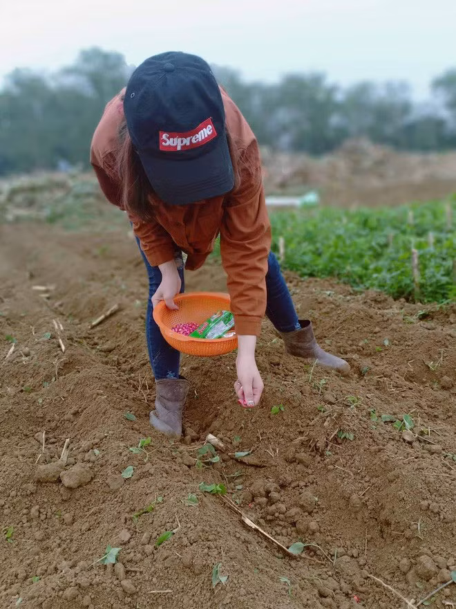 Đầu xuân năm mới cũng là lúc bước vào mùa vụ mới nên nhiều bạn trẻ cũng cùng gia đình ra ruộng làm việc. Tuy nhiên, không chỉ làm việc mà các bạn cũng tranh thủ chụp ảnh, điều này khiến cũng CDM đặt ra nghi vấn không biết đâu là sống thật đâu là sống ảo.