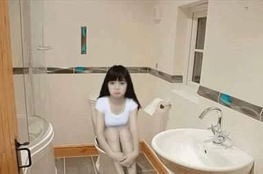 Ngay cả việc ngồi trong nhà vệ sinh cũng đã được các cư dân mạng nghĩ đến.