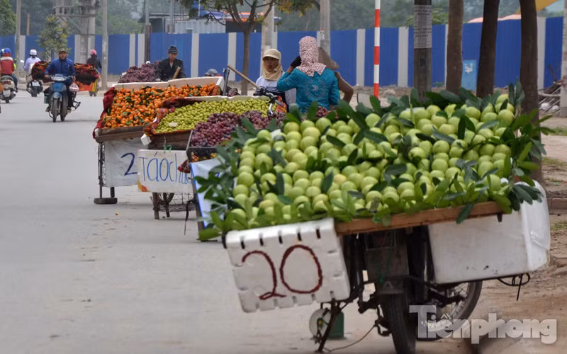 Những hình ảnh thú vị này nhanh chóng nhận được sự quan tâm của cộng đồng mạng với hàng nghìn lượt thích, chia sẻ và bình luận. Ảnh: Tiền Phong