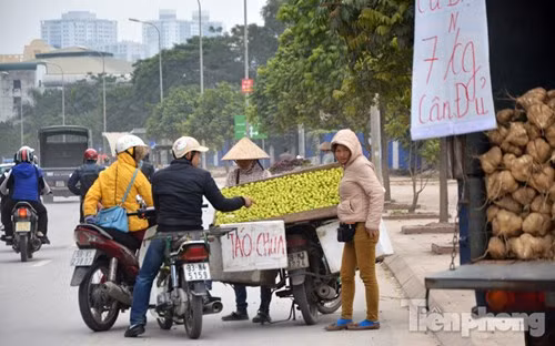 Ngoài ra, một chiêu trò mới khiến cư dân mạng phải ngả mũ thán phục các chuyên gia kinh doanh hoa quả xe rong đó chính là bán vú sữa đề biển 25.000 đồng/2 ký, nhưng lại viết số 2 bé tí nằm “lọt thỏm” trong lòng số 5. Ảnh: Tiền Phong