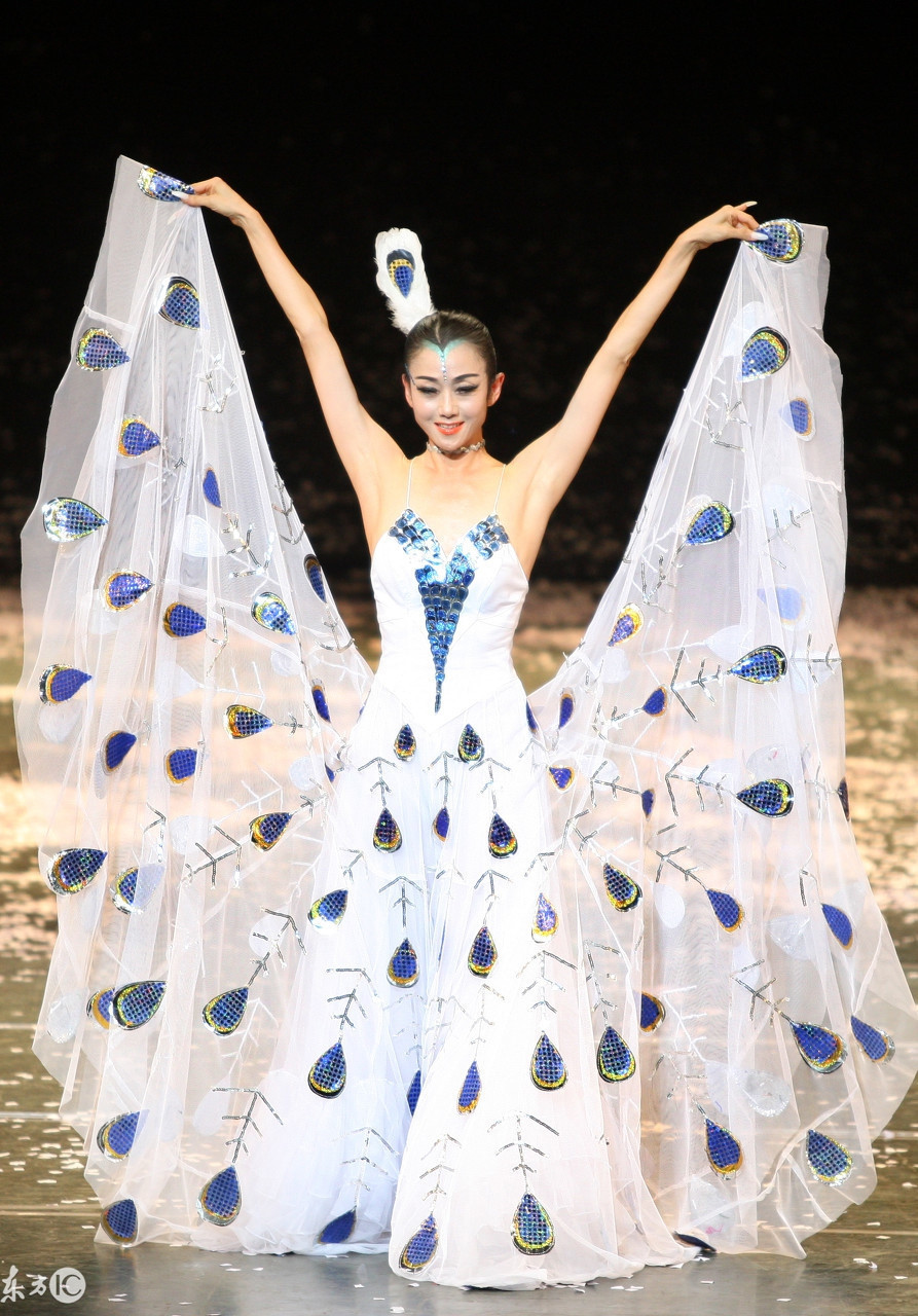 Hình tượng mỹ lệ trên sân khấu của Dương Lệ Bình. Năm 2011, bà cùng với Chương Tử Di, Hoa hậu Trương Tử Lâm, Châu Tấn, Phạm Băng Băng cùng xuất hiện trên ấn phẩm New York Times. Truyền thông Trung Quốc gọi đây là “ngũ đại mỹ nhân Trung Hoa”.