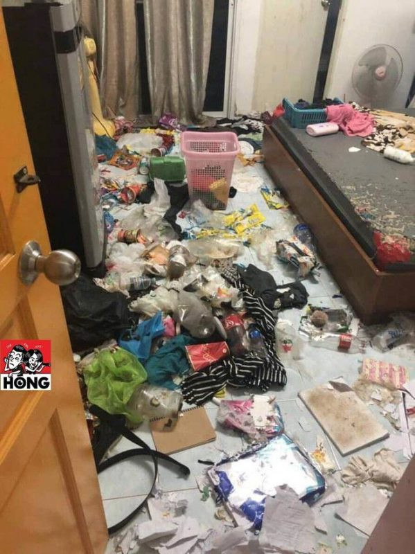 Thế nhưng, theo chủ nhân bài viết cho biết, khi người này tới thăm nơi ở của H.D thì hoàn toàn hoảng hồn. Chủ nhà trọ nơi H.D sinh sống và nuôi mèo thông báo rằng, cô nàng đã bỏ đi được hơn 1 tháng nhằm quỵt tiền thuê nhà. Thậm chí, H.D còn nhẫn tâm bỏ lại 3 chú mèo đến mức bị bỏ đói, gầy trơ xương trong một căn phòng trọ bẩn thỉu, bừa bộn chẳng khác gì bãi rác