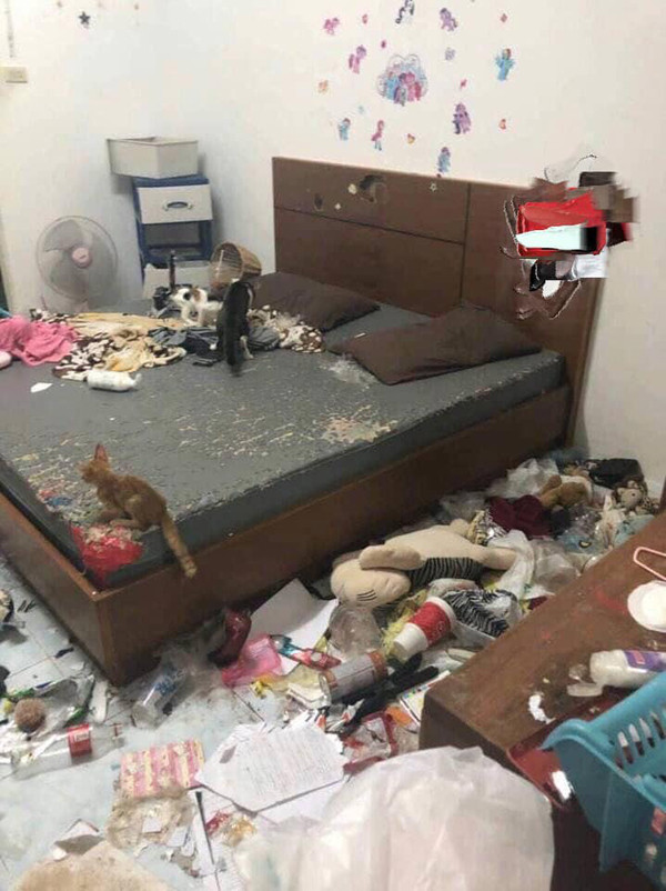 Mới đây nhất, dân mạng lại được phen "hoảng hồn" khi những hình ảnh về một phòng trọ như bãi rác của một cô nàng được đánh giá là có ngoại hình gọn gàng, sáng sủa và yêu mèo.