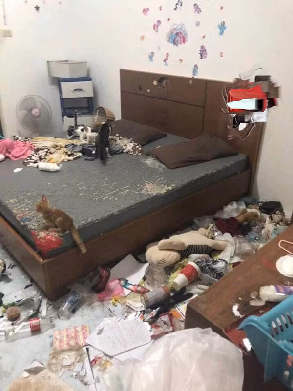 Mới đây nhất, dân mạng lại được phen "hoảng hồn" khi những hình ảnh về một phòng trọ như bãi rác của một cô nàng được đánh giá là có ngoại hình gọn gàng, sáng sủa và yêu mèo.