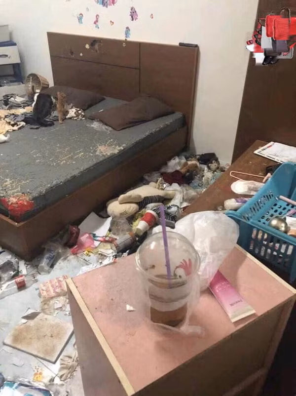 Cụ thể, theo bài viết được một cư dân mạng đăng tải, cô nàng nữ chính trong câu chuyện trên có tên là H.D, được đánh giá là chất phác thật thà, có vẻ ngoài gọn gàng lịch sự và đặc biệt luôn thể hiện bản thân là người rất yêu động vật. H.D có nuôi 3 con mèo tại phòng trọ của mình và thường đăng ảnh chúng lên facebook với cách gọi yêu thương, cưng nựng là 'hoàng thượng'.