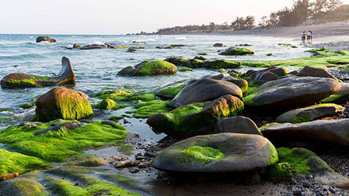 Bãi đá Cổ Thạch thuộc huyện Tuy Phong (Bình Thuận), cách Phan Thiết khoảng 100 km, cách TP HCM khoảng 300 km. Ảnh: meimei.