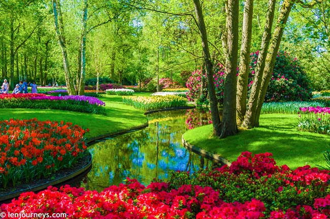 Mùa xuân là mùa người dân Châu Âu đưa nhau đi ngắm hoa và một trong những địa điểm nổi tiếng nhất là khu vườn Keukenhof ở Hà Lan.