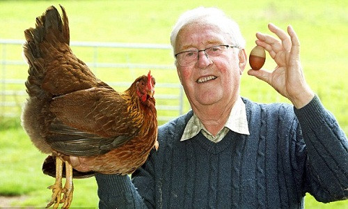 Qua trung ga hai mau ky la doc nhat vo nhi o Anh-Hinh-2