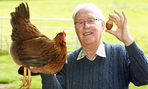 Qua trung ga hai mau ky la doc nhat vo nhi o Anh-Hinh-2