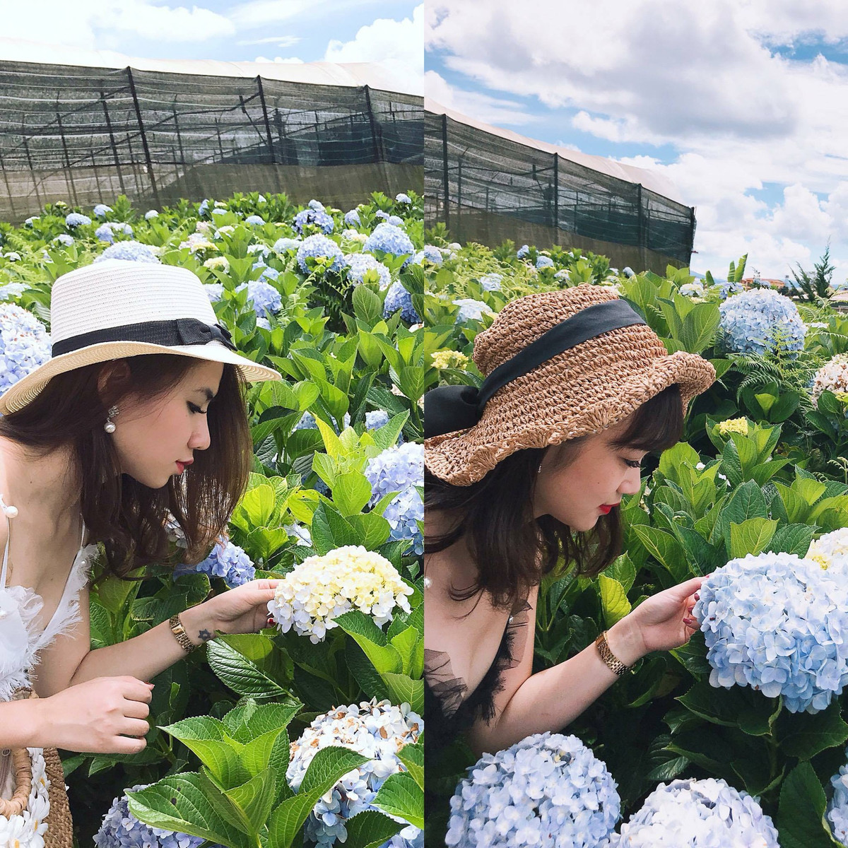 Sợ chụp chung có thể sẽ khó cho bạn tạo dáng, lỡ dìm bạn thì không tốt. Chụp riêng để ai cũng đẹp.