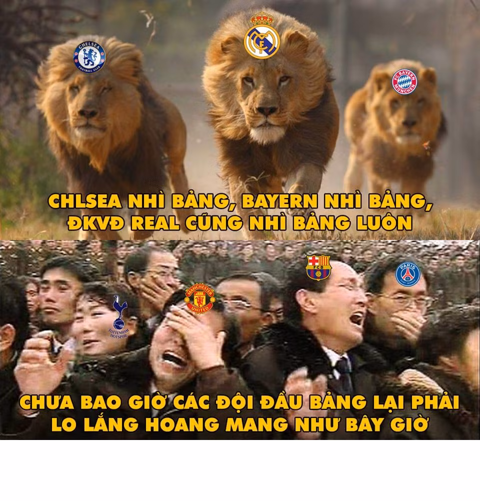 Cũng ở mùa giải năm nay, các đội bóng xếp đầu bảng tại cúp C1 châu Âu cũng không dễ dàng gì khi các đội nhì bảng toàn "hùm beo" có máu mặt.