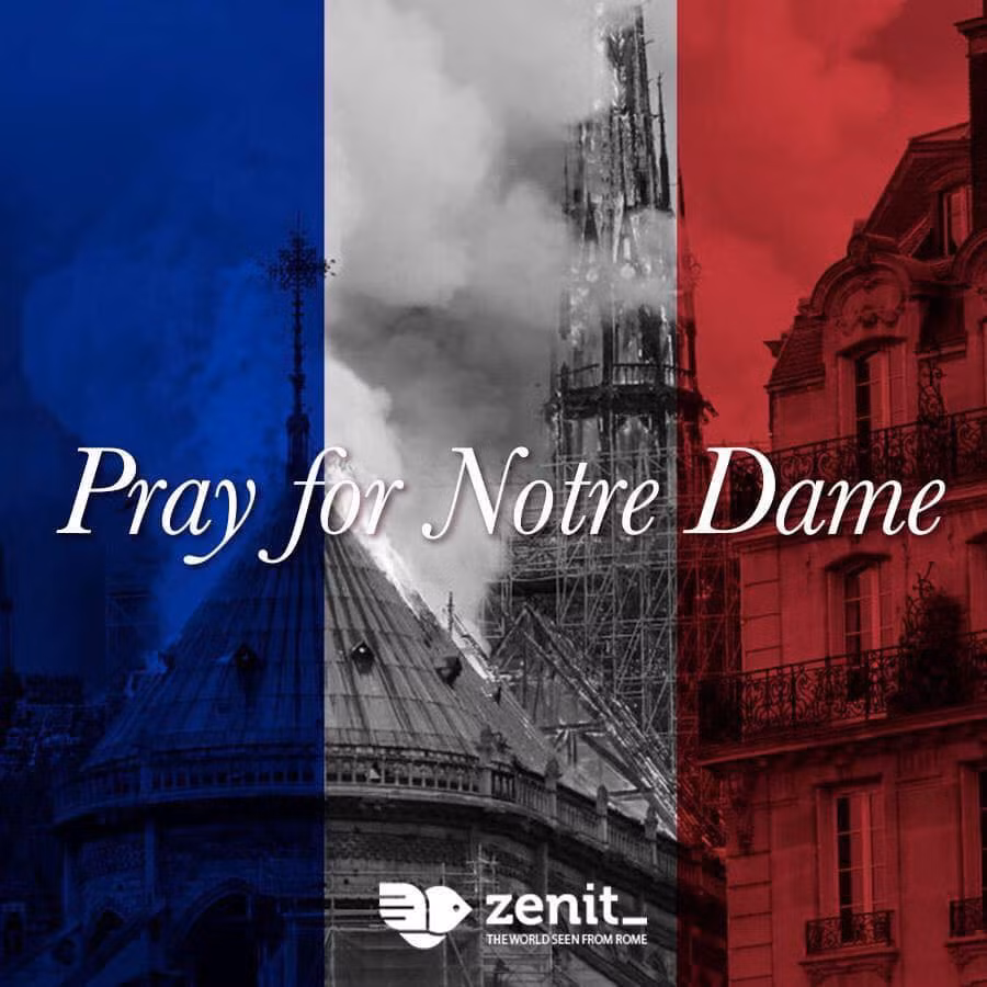Chứng kiến cảnh tượng hãi hùng của vụ cháy Nhà thờ Đức Bà Paris, trên MXH rất nhiều người dùng đã bày tỏ sự tiếc nuối với sự cố hỏa hoạn này. Nó biến công trình trên 850 năm tuổi này thành đống phế tích.