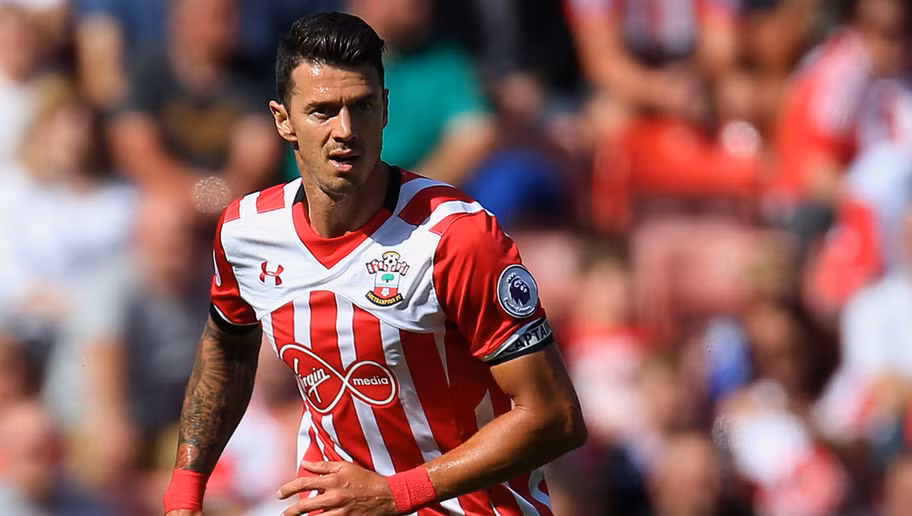 Jose Fonte hiện là thủ quân của Southampton và là đối tác ăn ý của Pepe ở trung tâm hàng phòng ngự giúp Bồ Đào Nha vô địch Euro 2016. Sau màn trình diễn chói sáng trong cả màu áo "Selecao châu Âu" lẫn The Saints, Jose Fonte hiện được cả Manchester United lẫn Arsenal liên hệ. Từng có 2 mùa giải khoác áo Sporting B trước khi ra đi.