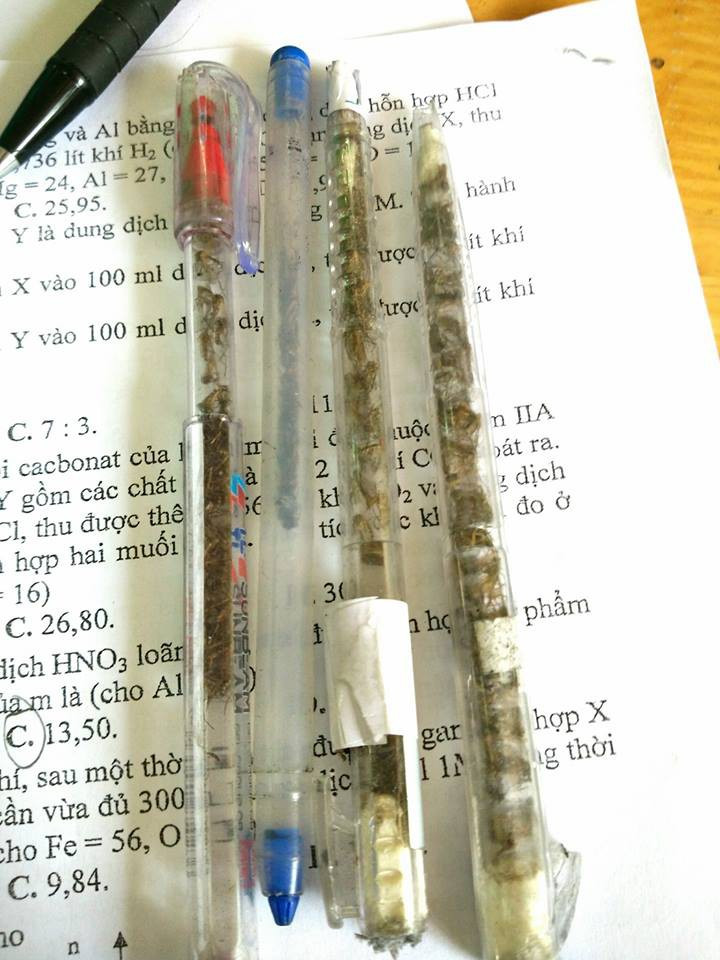 Bình thường người ta hay chơi hoa, chơi cây, chơi cá và lấy đó làm thú vui tiêu khiển của mình sau những giờ học tập và lao động căng thẳng. Tuy nhiên, có nhiều thành phần lại chọn cho mình những thú chơi chẳng giống ai đơn cử như sưu tầm muỗi, gián, côn trùng khiến ai nhìn vào cũng phải tròn mắt ngạc nhiên.