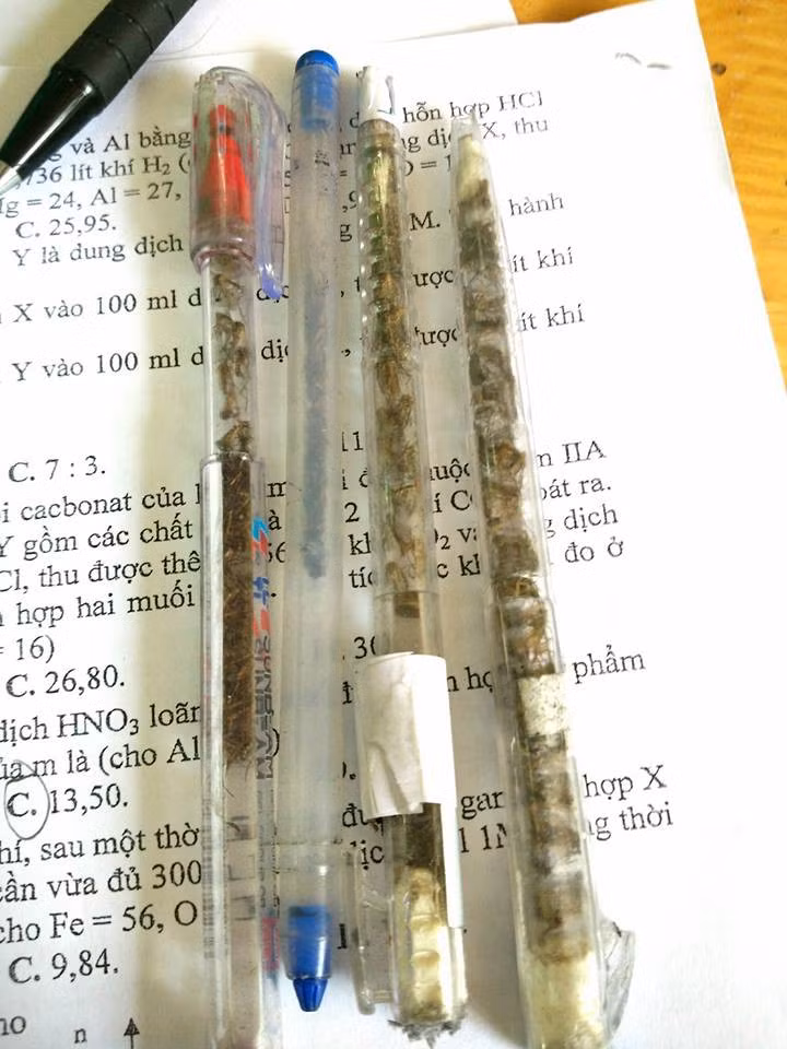 Bình thường người ta hay chơi hoa, chơi cây, chơi cá và lấy đó làm thú vui tiêu khiển của mình sau những giờ học tập và lao động căng thẳng. Tuy nhiên, có nhiều thành phần lại chọn cho mình những thú chơi chẳng giống ai đơn cử như sưu tầm muỗi, gián, côn trùng khiến ai nhìn vào cũng phải tròn mắt ngạc nhiên.