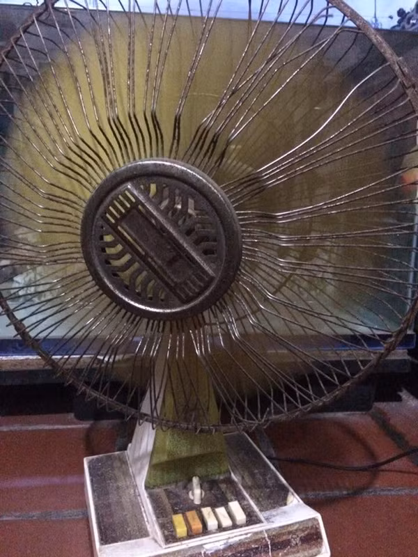 Bên cạnh đó, chính bức ảnh xưa cũ này đã khiến giới trẻ rộ lên phòng trào khoe đồ cổ như một cách gợi lại kí ức tuổi thơ.