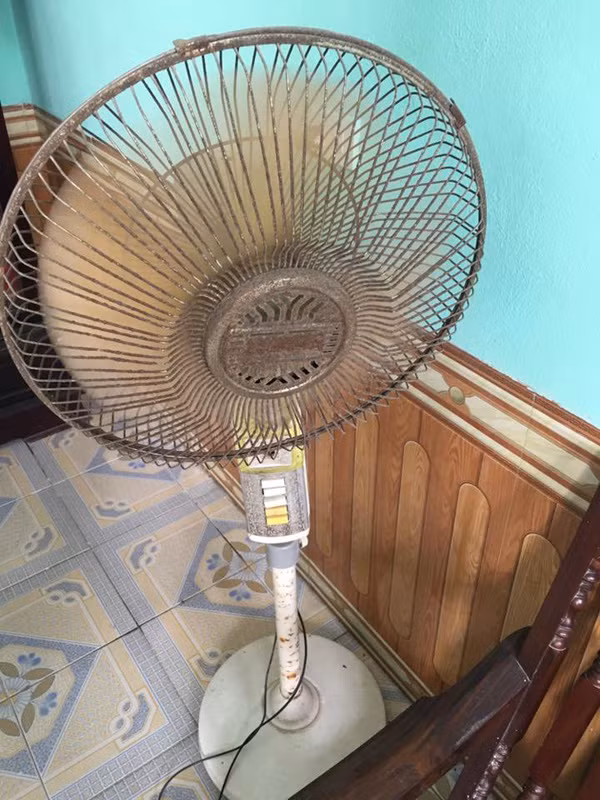 Vốn chỉ là là một bức ảnh đơn giản, thế nhưng cây quạt "huyền thoại" đã tái hiện lại kỉ niệm của nhiều năm về trước. Bất kì ai đã trải qua những năm tháng đó đều sẽ nhớ đến vật dụng cổ này đã từng gắn bó và cực hữu ích với gia đình khi chưa có điều hòa.