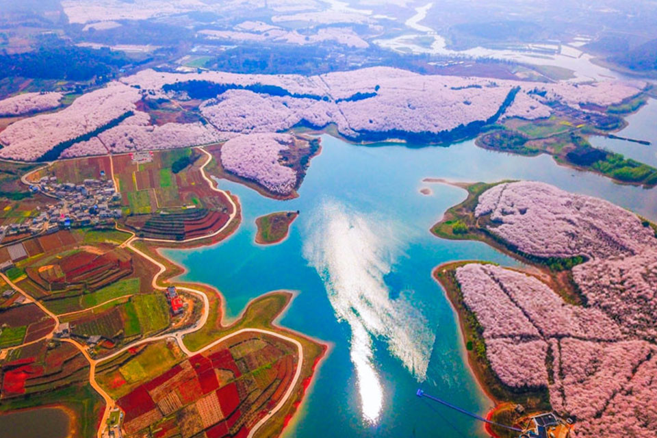 View - Trung Quốc Mùa hoa anh đào đẹp ngỡ như tiên cảnh | Báo Tri thức và Cuộc sống - TIN TỨC PHỔ BIẾN KIẾN THỨC 24H