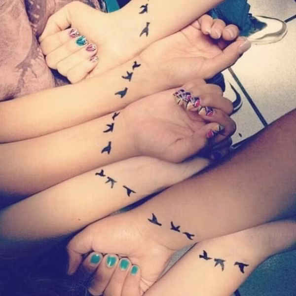 Những cánh chim trời dẫn lối.