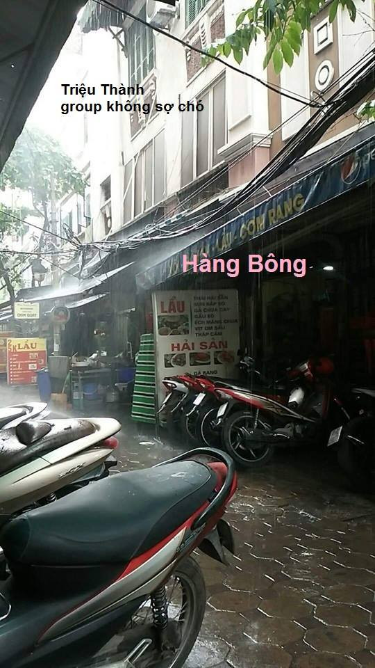 Trên khắp các fanpage trên mạng xã hội, các dân mạng liên tục cập nhật tình hình trận mưa giải nhiệt ngày nắng nóng tại khu vực mình.