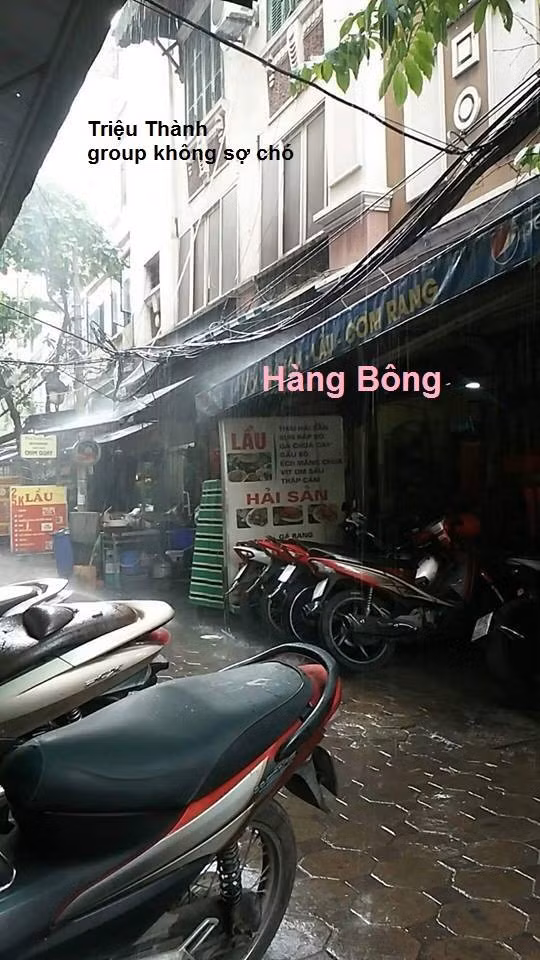 Trên khắp các fanpage trên mạng xã hội, các dân mạng liên tục cập nhật tình hình trận mưa giải nhiệt ngày nắng nóng tại khu vực mình.